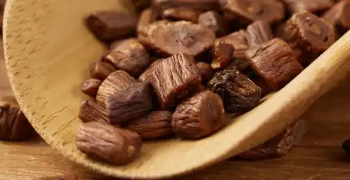 The Role of Dandelion Root Extract Powder in Digestive Wellness